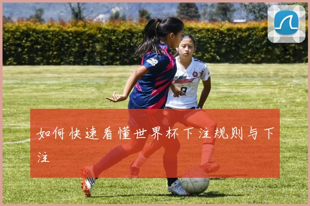 如何快速看懂世界杯下注规则与下注